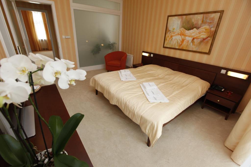 Hotel Sandor Pavillon Piest'any Kamer foto
